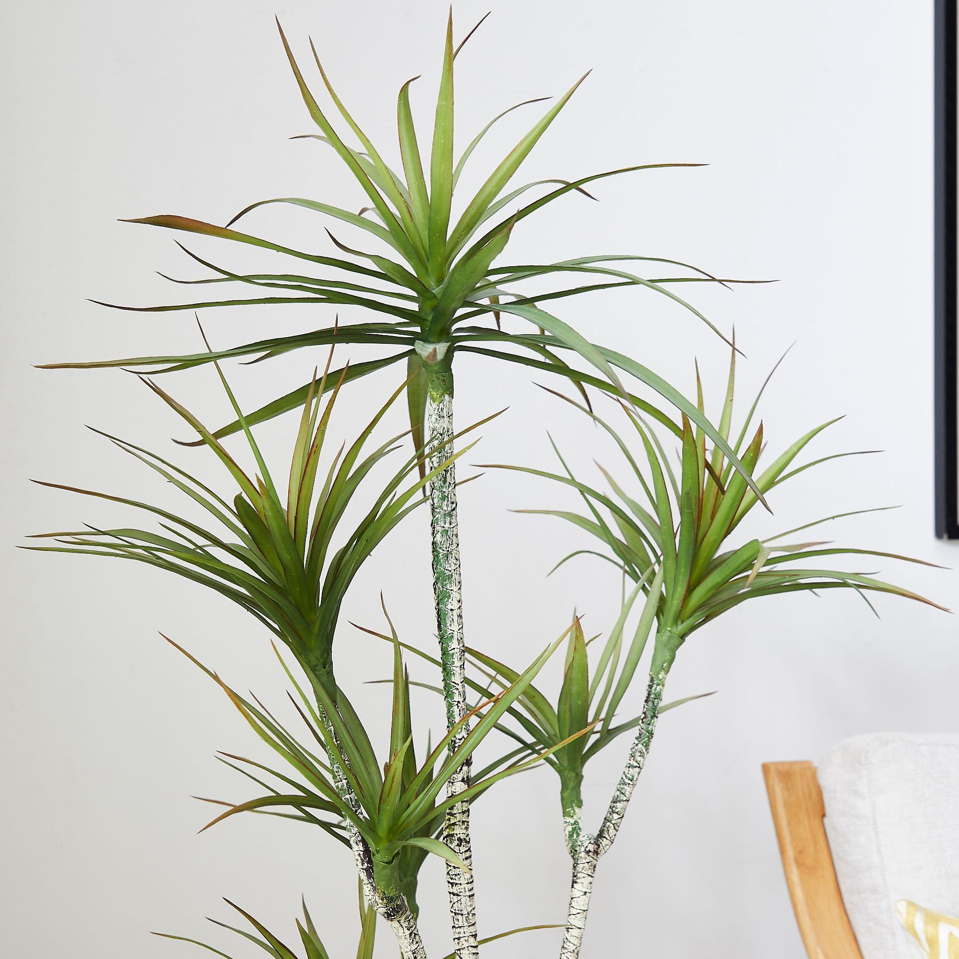 Artificial Plastic Potted ​Pla - огляд і ціна Dracaena Marginata